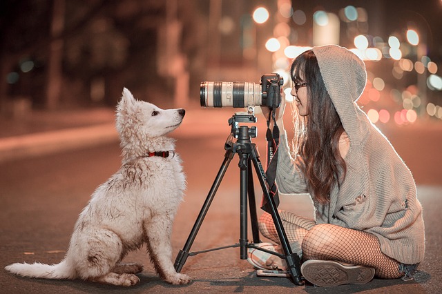 Picking a Pet Photographer